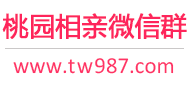 桃园相亲微信群